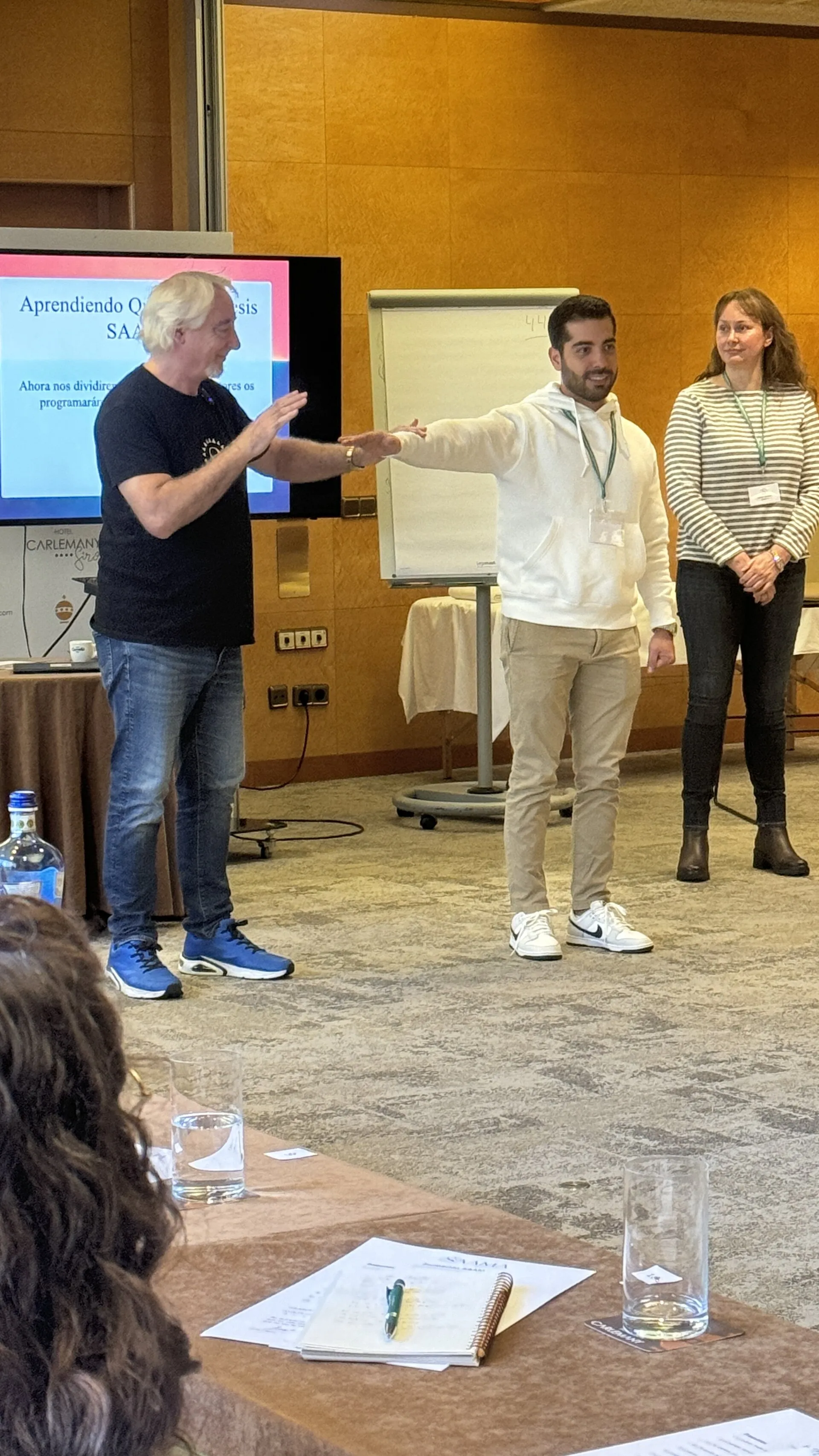 Formación práctica SAAMA®: comprender el patrón y lo que ocurre en la experiencia.